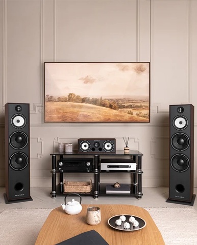 Triangle Borea BR10 HiFi and Home Cinema Versatility